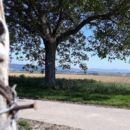 Die Gefaehrten Oberhausen  Екстер'єр фото