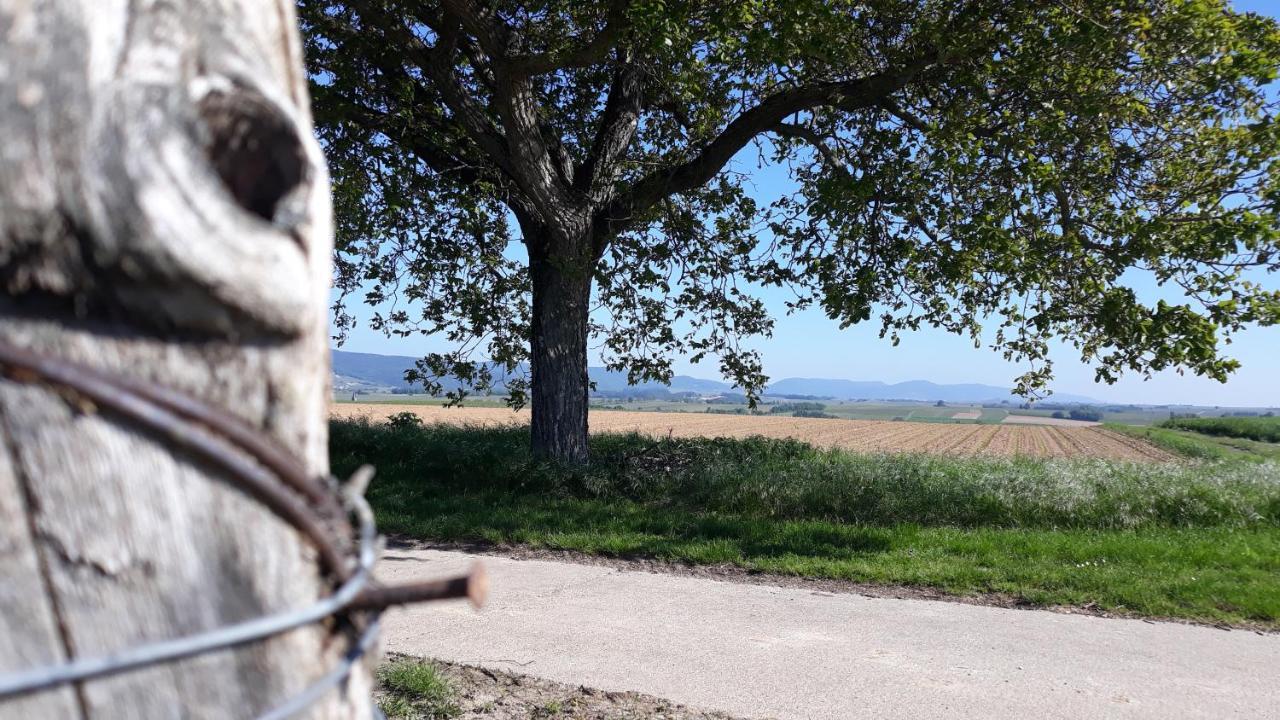 Die Gefaehrten Oberhausen  Екстер'єр фото