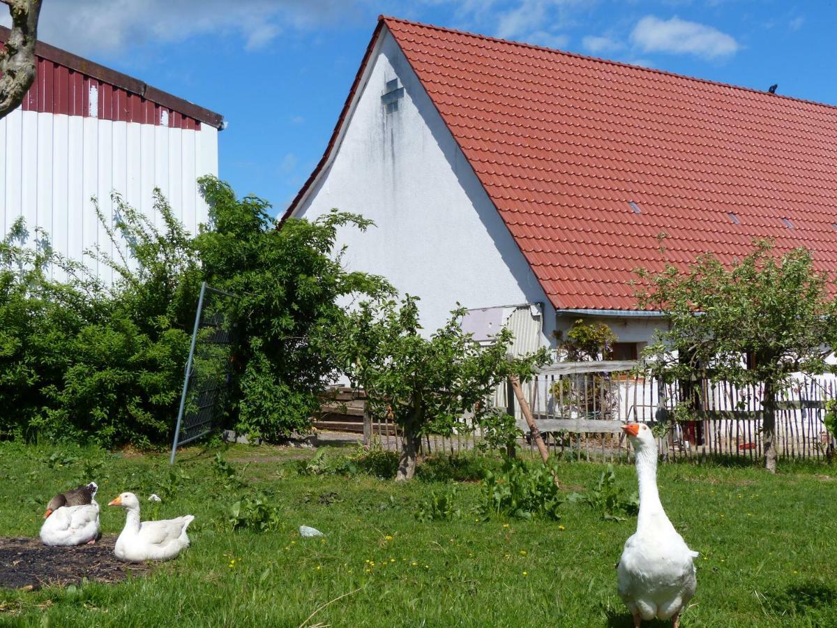 Die Gefaehrten Oberhausen  Екстер'єр фото